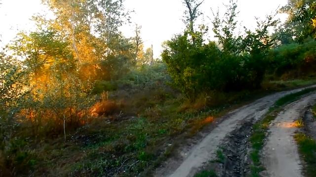 ищем фазана.. смотреть онлайн