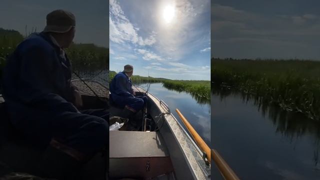 р. Бужа. п. Тюрьвищи. н.п. Мещера, вельбот 37, wellboat-37 смотреть онлайн