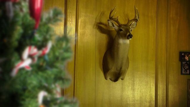 Local Television Ad Campaign for a Collision Center That Killed it #12 HolidaySpot смотреть онлайн