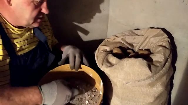 Как сохранить урожай картошки. Жизнь в деревне. смотреть онлайн