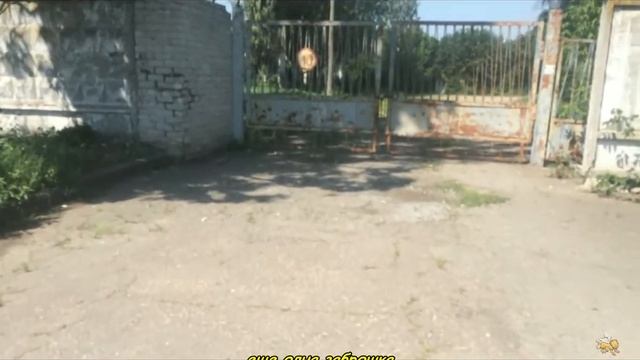 Прогулка по Донецку. Лето 2021 ч. 2 смотреть онлайн