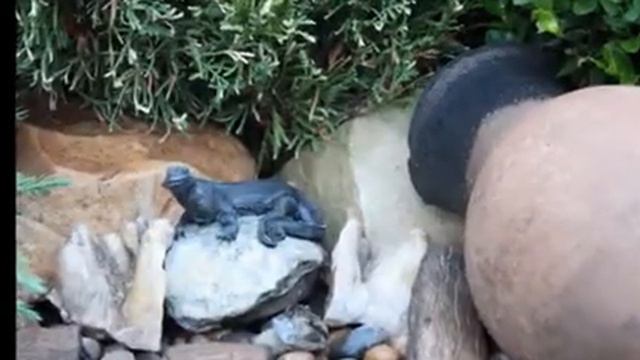 Раскошный сад