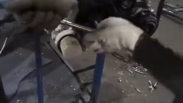 Двигатель 2.5 QR25 на Nissan X-Trail T32 J3740 смотреть онлайн