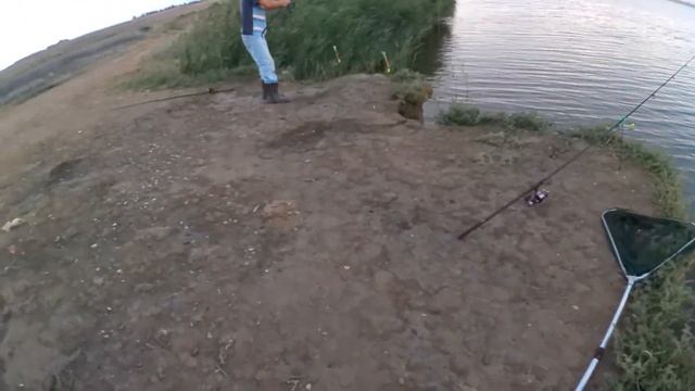 Ночьная рыбалка как она есть Наконец поймал карпа! смотреть онлайн