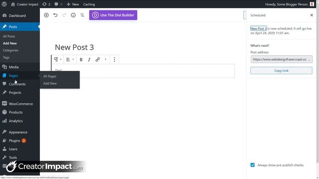 How to schedule posts WordPress! смотреть онлайн