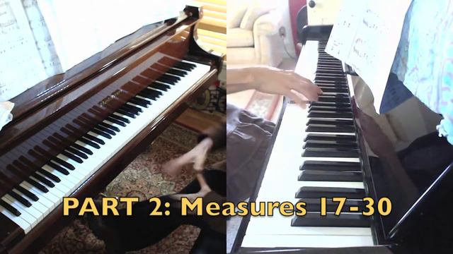 (HD) Piano Lesson: Phrasing considerations in Chopin B Minor Waltz, Op. 69, No. 2 смотреть онлайн