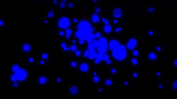 video (video-converter.com)