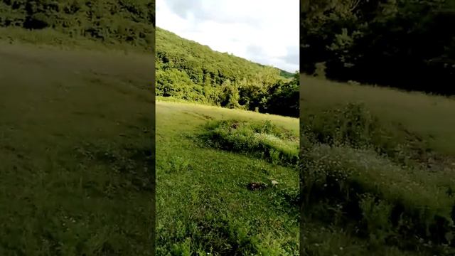 Отсечка смотреть онлайн