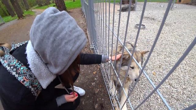 Vlog #1. Как мы ездили на томскую писаницу. смотреть онлайн