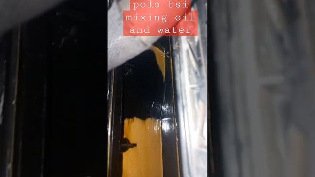 vw polo tsi | leaking charge cooler ~ water in oil смотреть онлайн