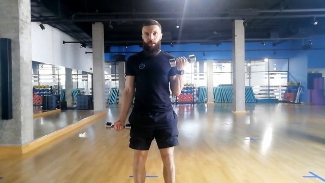 Сгибание предплечья на бицепс стоя смотреть онлайн