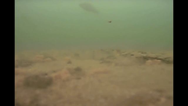 РЫБАЛКА ГЛУХАЯ ЗИМА, КЛЕВ!!!Реакция РЫБЫ подледная сьемка, КЛАСС! Веселовское водохранилище смотреть онлайн