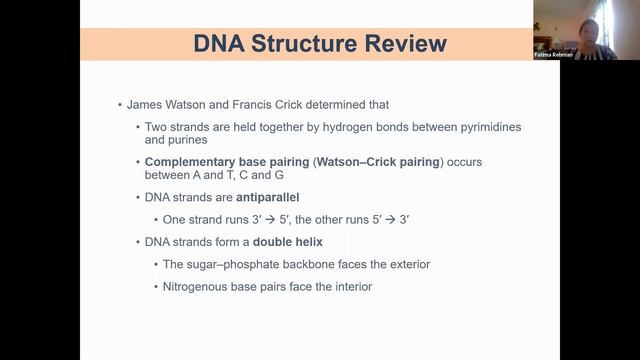 DNA & Chromosomes Structure смотреть онлайн