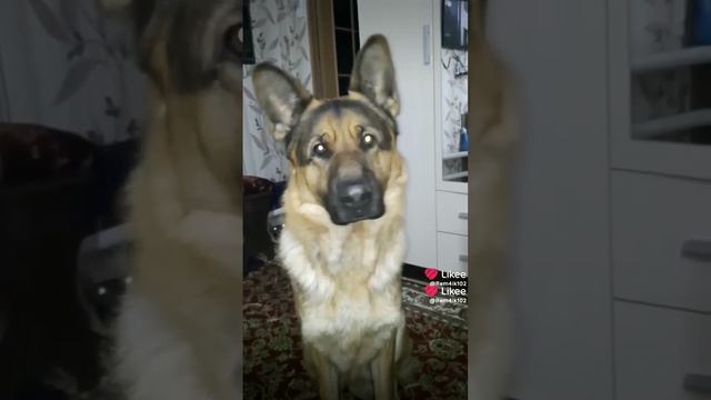 Эти глаза! смотреть онлайн