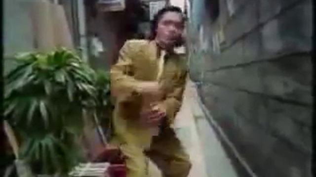 Китайская реклама дихлофоса