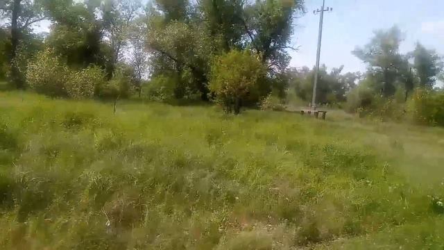 Stream от 09.05.2019 Встречаем праздник весны и победы 9-е мая в лесу. (Пекник на обочине!) смотреть онлайн