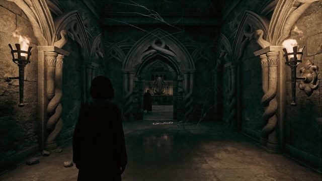 HOGWARTS LEGACY Slytherin's Scriptorium Music + Dark Ambience | 1 HOUR