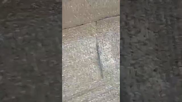 Утепление мансардного этажа утеплителем Тепофол смотреть онлайн