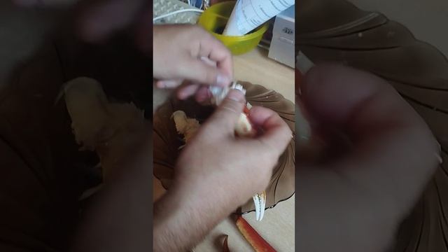 Сколько стоят клешни краба. Сравнение с раком. Количество мяса в клешне смотреть онлайн