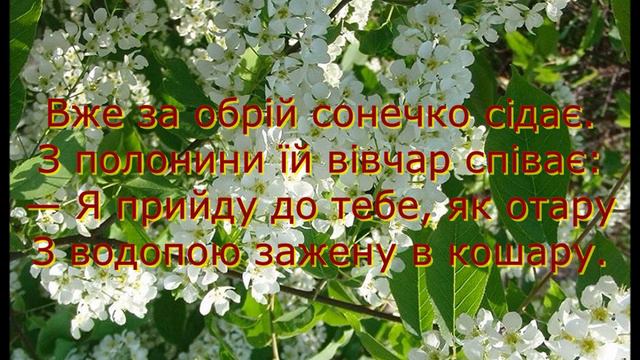 УКРАЇНСЬКА ПІСНЯ ЧЕРЕМШИНА - КАРАОКЕ ПОД БАЯН текст в описании смотреть онлайн