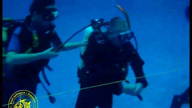 Подводное регби: Команды The Sea Stars и Голубая устрица смотреть онлайн