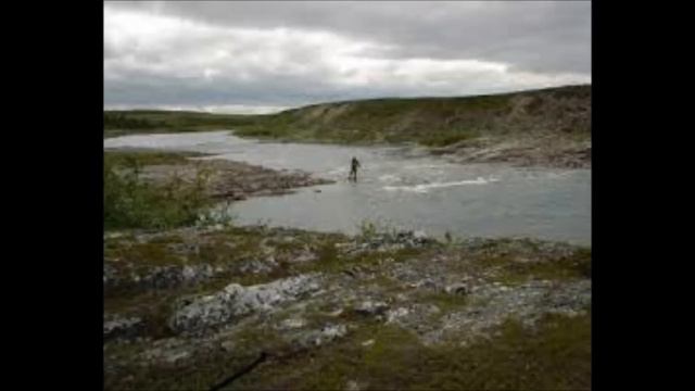 Tore Hansen & Kai kiil - tjyvfiske смотреть онлайн