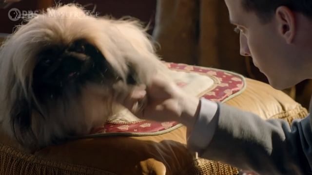 All Creatures Great and Small Season 1: Official Trailer смотреть онлайн