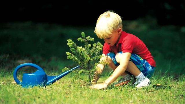 Камни по знакам зодиака Стрелец смотреть онлайн