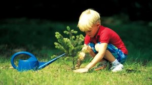 Камни по знакам зодиака Стрелец