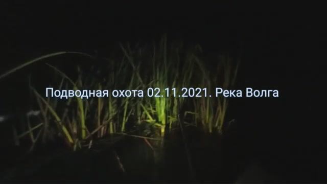 Подводная охота на Волге 02.11.2021 смотреть онлайн