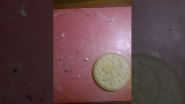 Пранки для друзей из пластилина))) смотреть онлайн