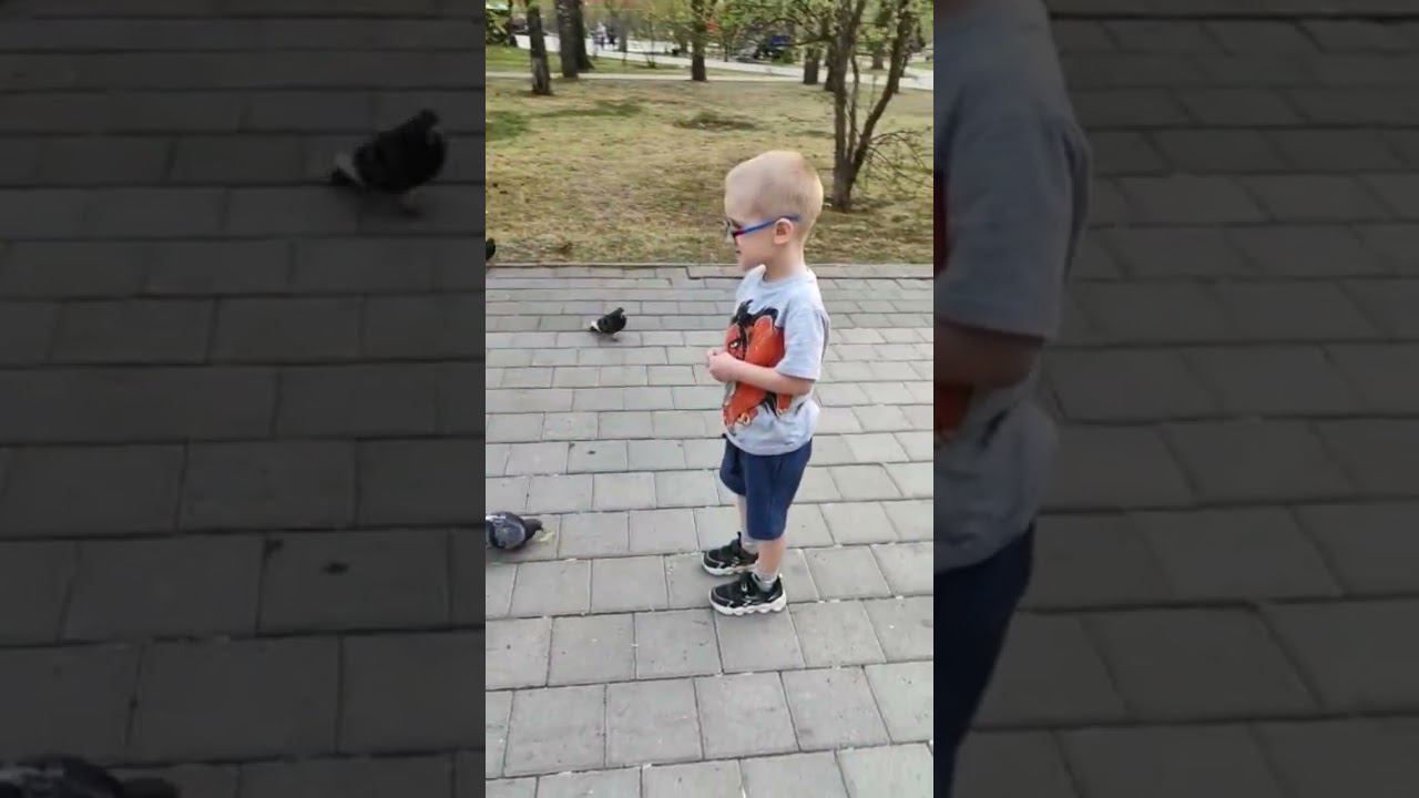 лето смотреть онлайн