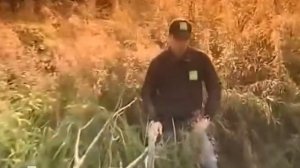 Таинственная Россия