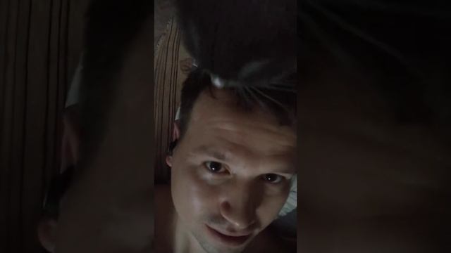Смешной кот или как помыть голову с помощью кота смотреть онлайн