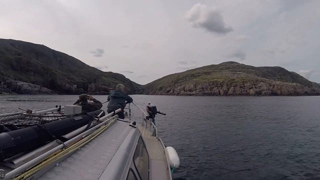 КОЛЬСКИЙ `21 смотреть онлайн