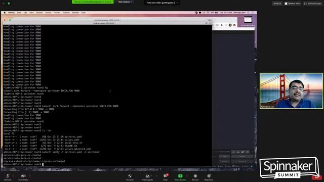 Deploying Spinnaker with Helm chart - myriad options and simple defaults - Nirmalya Sen смотреть онлайн