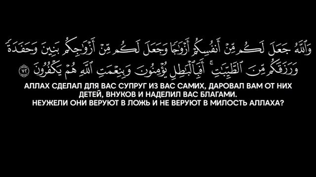 Ясир аль Даусари | Сура ан Нахль. С переводом. 1425 г.