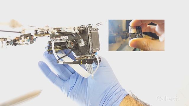 Advanced Robotic Bat Can Fly Like the Real Thing смотреть онлайн