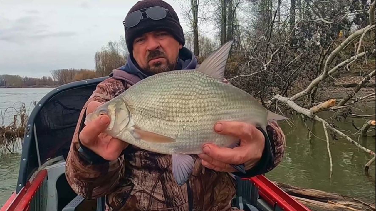 ЛЕЩ НА ПЕНОПЛАСТ. Рыбалка на Оби ( Сузун ) 22 октября 2023г. Закрытие сезона. смотреть онлайн