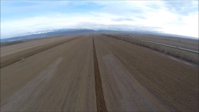 Интенсивный сад