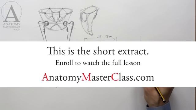 Pelvis Anatomy - Anatomy Master Class смотреть онлайн