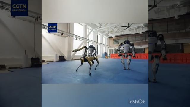 танец роботов США против президенов России. смотреть онлайн