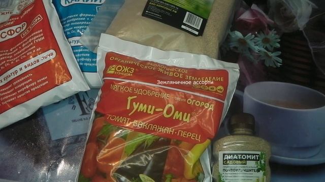 ВСЕ УДОБРЕНИЯ И СРЕДСТВА ЗАЩИТЫ ДЛЯ ТОМАТОВ В 2023 ГОДУ смотреть онлайн