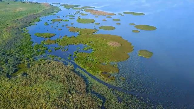 В Воскресенье первом том чудесном смотреть онлайн