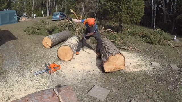 Chainsaw cutting timelapse Husqvarna 560 XP смотреть онлайн