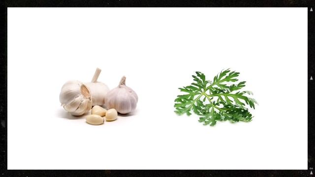 Кто такие Корейцы на самом деле?@TAMIK. смотреть онлайн