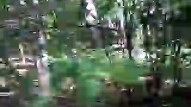 Almetyevsk best tricks 2009 friends смотреть онлайн
