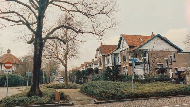 Бевервейк_Нидерланды 23.02.2020 смотреть онлайн