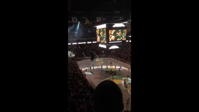 Bauler Studio - Wild - Excel Energy Center смотреть онлайн