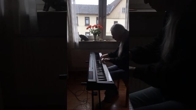 Scarlatti K9 Sonate d-Moll Allegro 1739 m228 20211114 Version2 смотреть онлайн